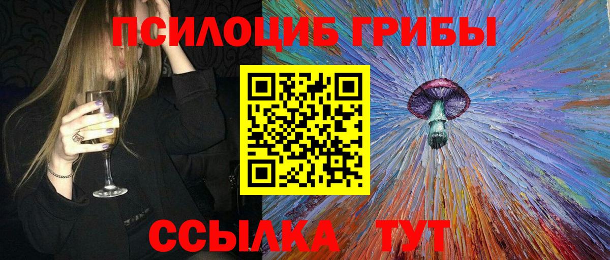 Галлюциногенные грибы Psilocybe  Вход с VPN  Богородицк 